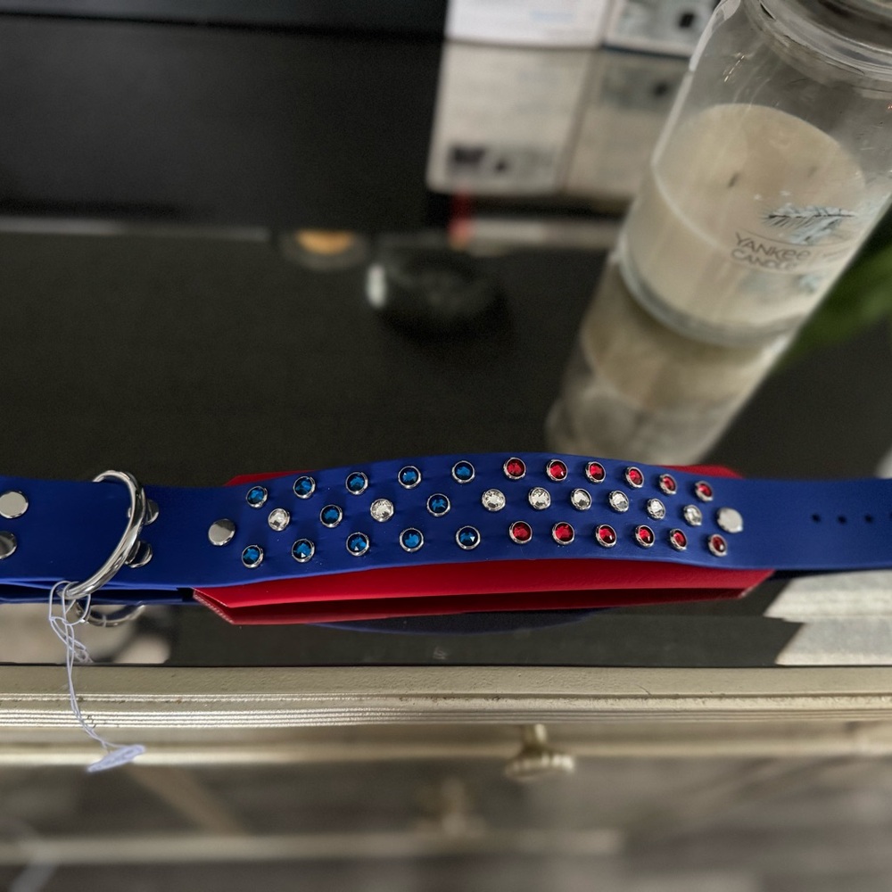 Blue and Red Studded collar